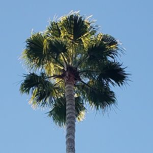 Meet your Posher, Traci